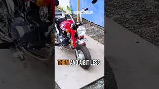 2000 Honda Monkey 125 Replica Review  2020 honda monkey 125  our first ride and review [upl. by Fantasia]