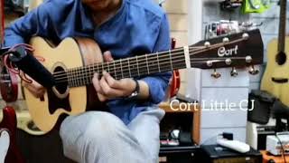 Cort Little CJ vs Taylor GS Mini  3x the price difference is 3x better [upl. by Adneral]