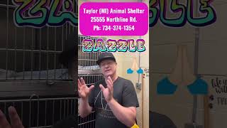 Zazzle 🔥 Taylor MI Animal Shelter AddressPh⬇️ Support PetzPaws at ⬇️ [upl. by Sielen]