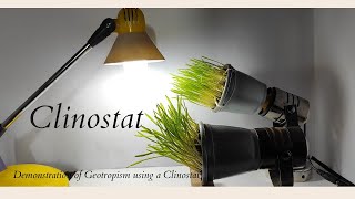 Clinostat [upl. by Tnecniv]