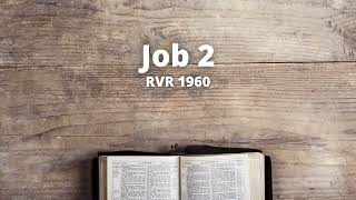 Job 2  Reina Valera 1960 Biblia en audio [upl. by Aniale518]