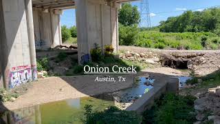 Urban FlyFishing  Onion Creek  Austin TX [upl. by Nerred942]