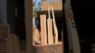 Cricket bat new collection english willow cricket cricketdrive indiancricketer [upl. by Derr]