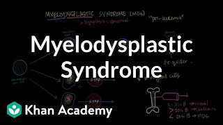 Myelodysplastic syndrome  Hematologic System Diseases  NCLEXRN  Khan Academy [upl. by Ididn]