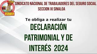 Declaracion Anual y de Interes 2024 SNTSS [upl. by Kingsbury]