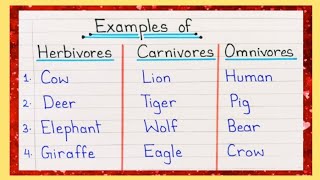 10 Examples of Herbivores Carnivores and Omnivores  Herbivores Carnivores and Omnivores Animal Name [upl. by Adnocahs596]