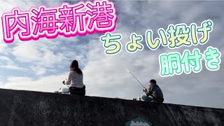 【知多半島】内海新港でのんびり釣行🎣20241117 [upl. by Nodla]