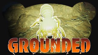 Alarm im Termitenbau  28 Grounded Survival Gameplay Deutsch [upl. by Vogele]