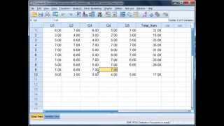 SPSS Using SUM function [upl. by Ewell]