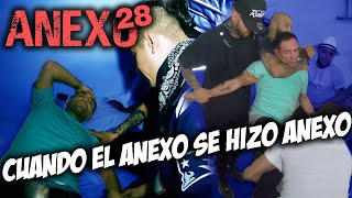 Anexo 28 │ Christian Meza [upl. by Kylander]