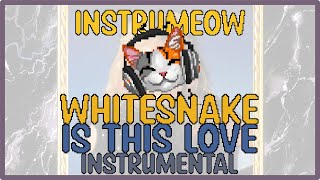 Whitesnake • Is This Love • Instrumental [upl. by Roe618]