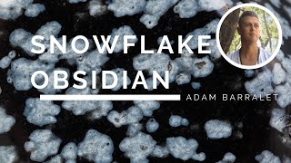 Snowflake Obsidian  The Obsidian of Balance [upl. by Eceinaj]