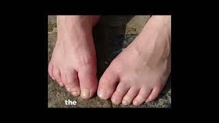 Complex Structure of Human Feet facts explore educationalvideo motivation live story story [upl. by Alohcin]