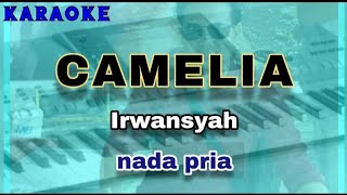 Karaoke CAMELIA nada pria  Irwansyah [upl. by Aryt75]