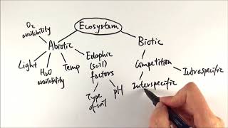 A2 Biology  Factors affecting an ecosystem OCR A Chapter 231 [upl. by Ahsinhoj]