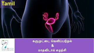 OVULATION amp THE MENSTRUAL CYCLE  TAMIL [upl. by Yecaj]