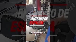 Ejercicio para lumbares con 20Kg fitness fuerza gym gimnasio entrenamiento [upl. by Hedda]