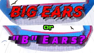 Big ears or quotBquot ears [upl. by Petrie]