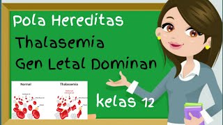 Materi Biologi Thalassemia Kelas 12  Pola Hereditas Manusia [upl. by Yseulta897]