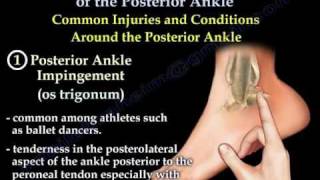 Posterior Ankle  Anatomy And Injury  Everything You Need To Know  Dr Nabil Ebraheim [upl. by Elleiand]