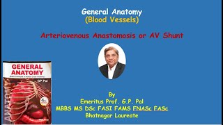 General anatomy  Arteriovenous anastomosis or AV shunt [upl. by Allehcram]