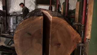 Cutting Quarter Sawing Sycamore on our 67quot Band Saw  Part 3 [upl. by Pardew983]