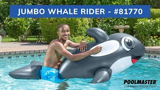 Jumbo Whale Rider [upl. by Accebar]