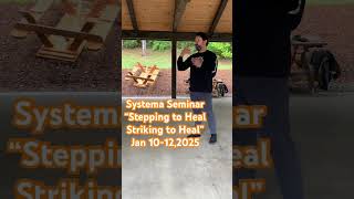 Stepping to Heal Striking to Heal System Seminar [upl. by Rowell602]