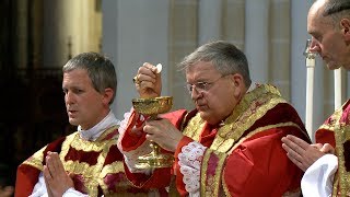 Pèlerinage de Pentecôte 2017  Messe de clôture à Chartres V2 [upl. by Kilah]