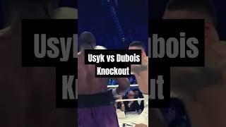 Oleksandr Usyk vs Daniel Dubois Intense Knockout ClashFull Fight Highlights boxing usyk dubois [upl. by Enyalahs]