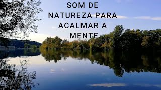 Som de Natureza para acalmar a mente [upl. by Ydnerb]