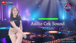 A D E L I A  Audio Cek Sound terbaru  Remix Ogt Version  Turiya Semombat [upl. by Leasi499]