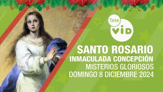 Santo Rosario Inmaculada Concepción de María 🕯️ Domingo 8 Diciembre 2024 🎄📿 TeleVID [upl. by Leda]