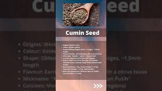 Caraway Seed vs Cumin Seed  Culinary Tip by An Acquired Chef [upl. by Tristas]