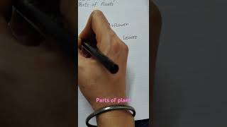 How to draw plant parts of plantdrawing art preschool youtube viralvideo [upl. by Geiger]