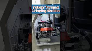 Loose Tubular Terminal Crimping Machine YH3PC  Yuanhan [upl. by Sparke]