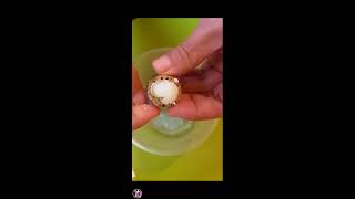 QUAIL EGG AS FOOD Lets try it Amazing egg viral peeling [upl. by Yekcir]