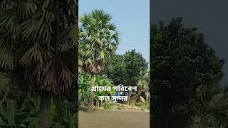 গ্রামের পরিবেশ কত সুন্দর [upl. by Ariayek]