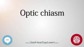 Optic chiasm Anatomy of the Brain SeeHearSayLearn 🔊 [upl. by Ratha]