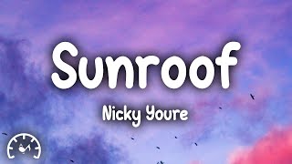 Nicky Youre  Sunroof Lyrics [upl. by Laurel]