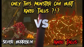 Zelda Tears of the Kingdom Igneo Talus VS Silver Horriblin [upl. by Esylle]