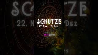 🏹 Schütze Horoskop 2 Novemberwoche 2024 Abenteuer erwartet dich 🌍 schütze [upl. by Odraode]