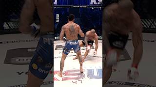 KSW TOP 20 Knockout 👊 15 Aleksandar Ilić vs Damian Janikowski mma ksw knockoutcity [upl. by Erie46]