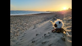 Boscombe Pier Sunset Drone View [upl. by Nora521]