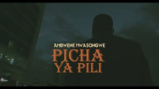 Ambwene Mwasongwe  Picha ya Pili Official Music Video [upl. by Macegan]