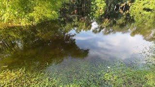 Neighbors move cars to higher ground prepare boats as Myakka River rises [upl. by Gerick]