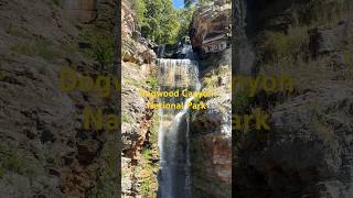 Dogwood Canyon in Missouri nationalpark missouri travel placestosee usa roadtrip hike park [upl. by Alroi734]