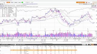 How To Scan For quotHotquot Stocks Using MarketSmith [upl. by Ellimahs]