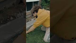 Sod installation tip shorts landscaping sod [upl. by Philbrook72]