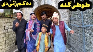 Tuti Gulla Da Kam Za De New Funny Video 2024 by Tuti Gull Official [upl. by Ahsitel590]